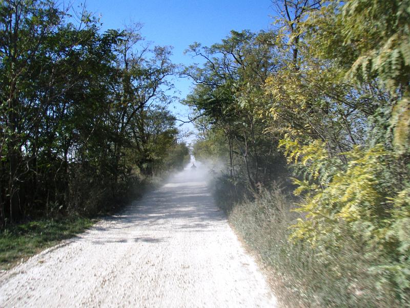 Kép