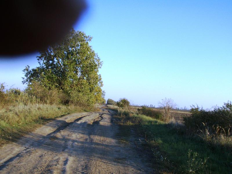 Kép