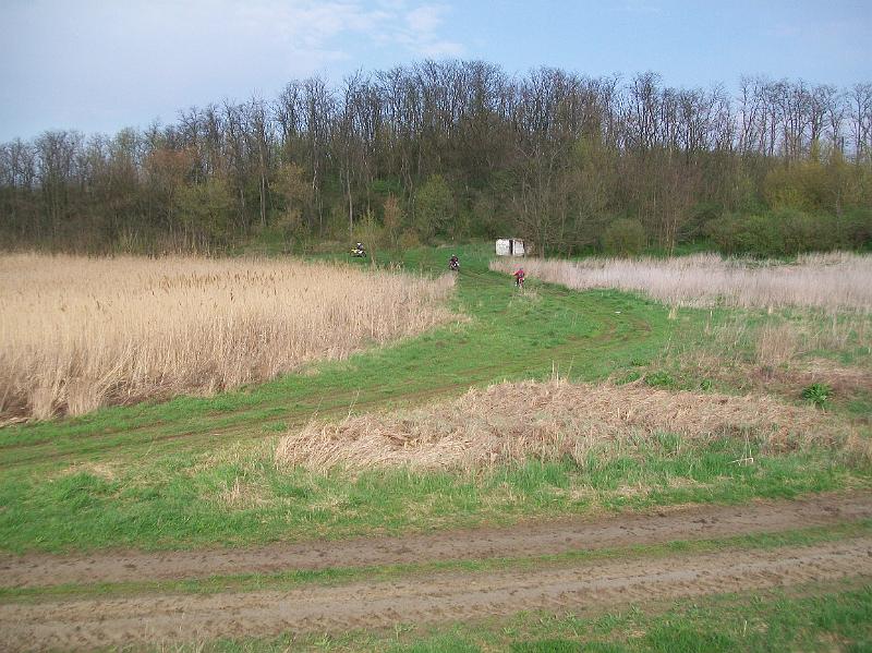 Kép