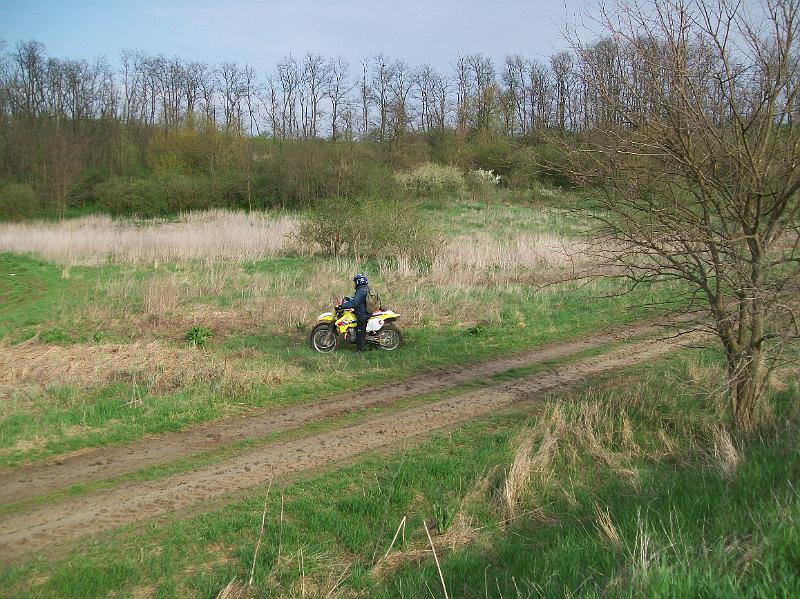 Kép