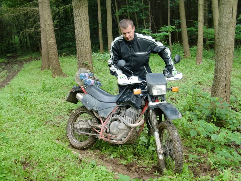 Kép
