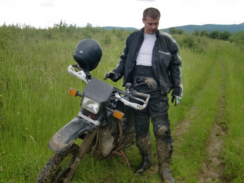 Kép
