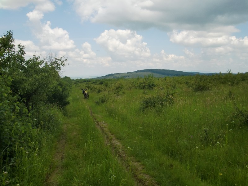 Kép