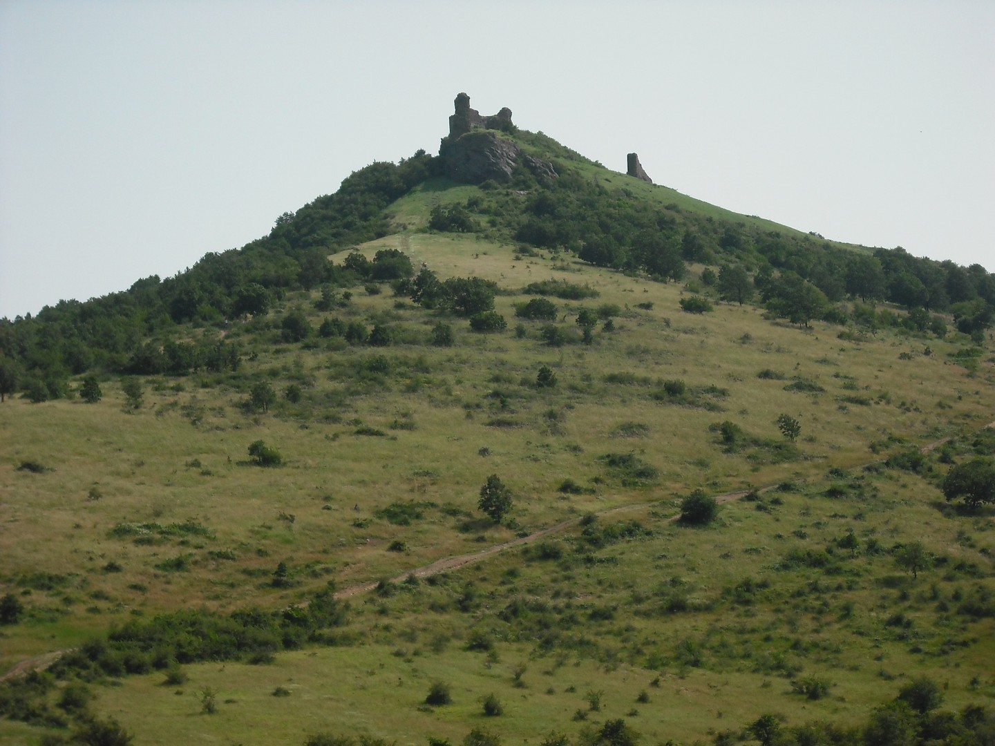 Kép