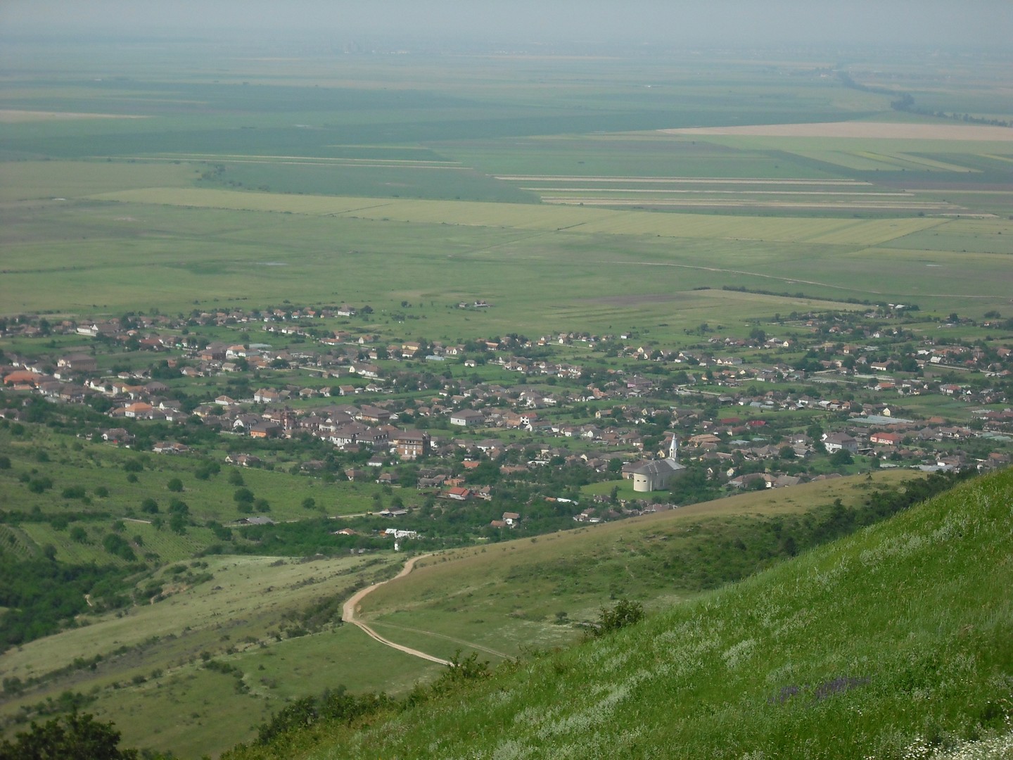 Kép