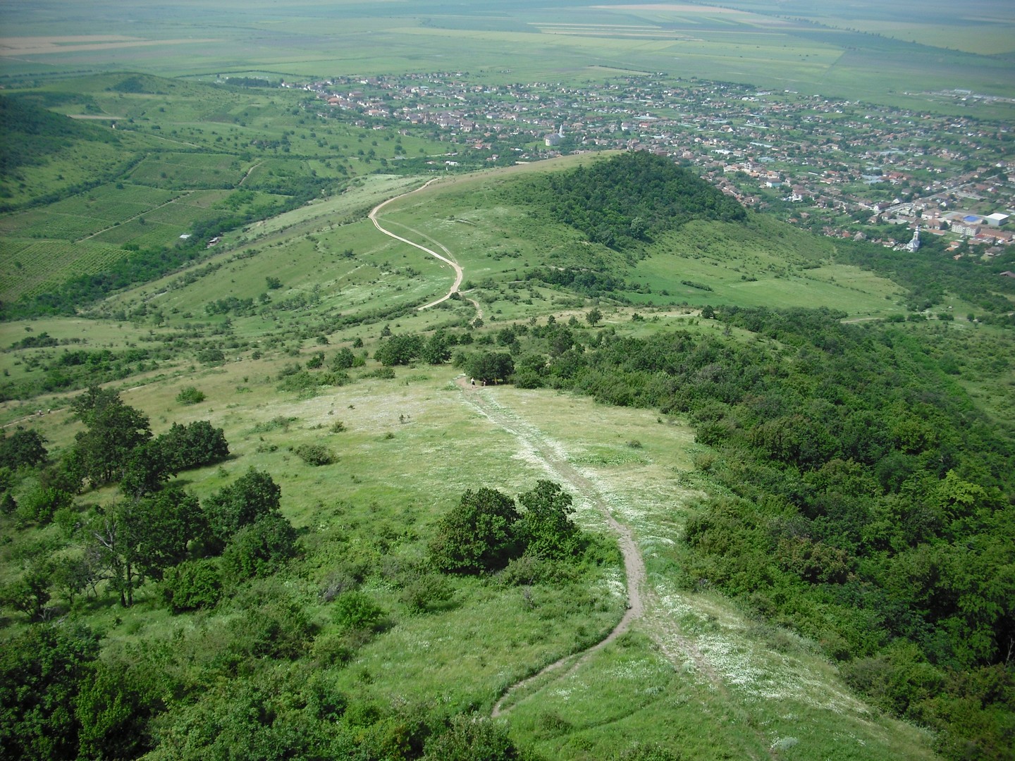 Kép