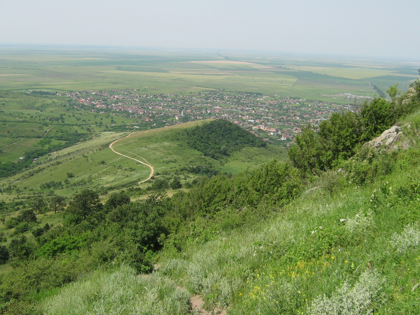 Kép