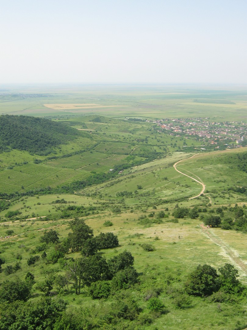 Kép