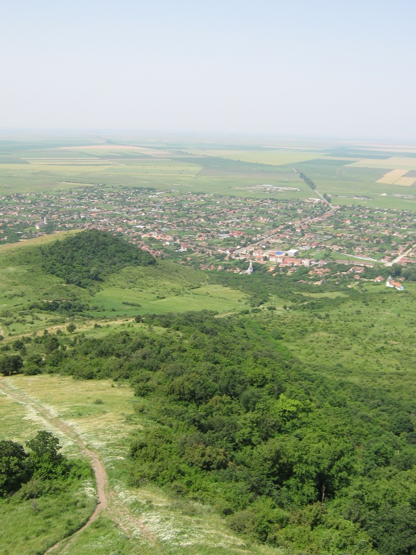 Kép