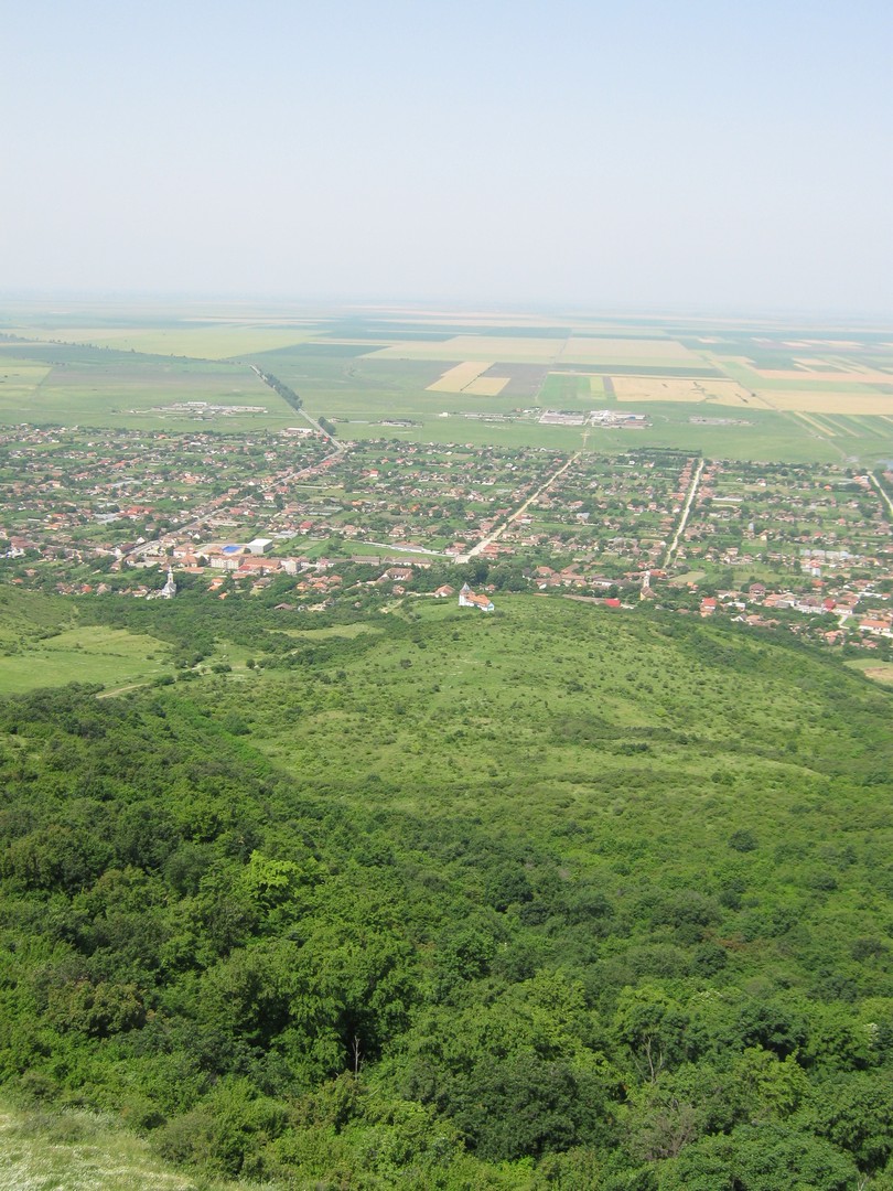 Kép