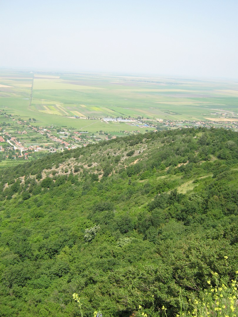 Kép