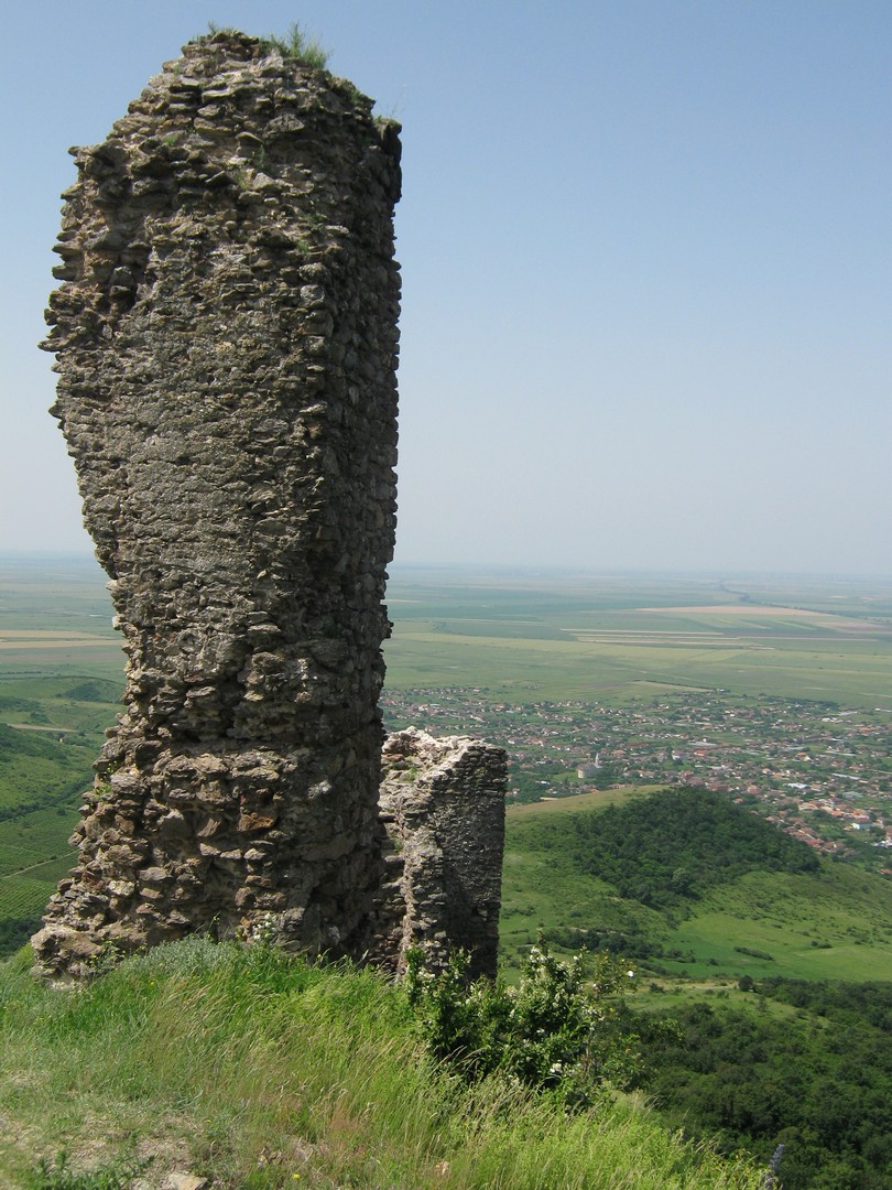 Kép