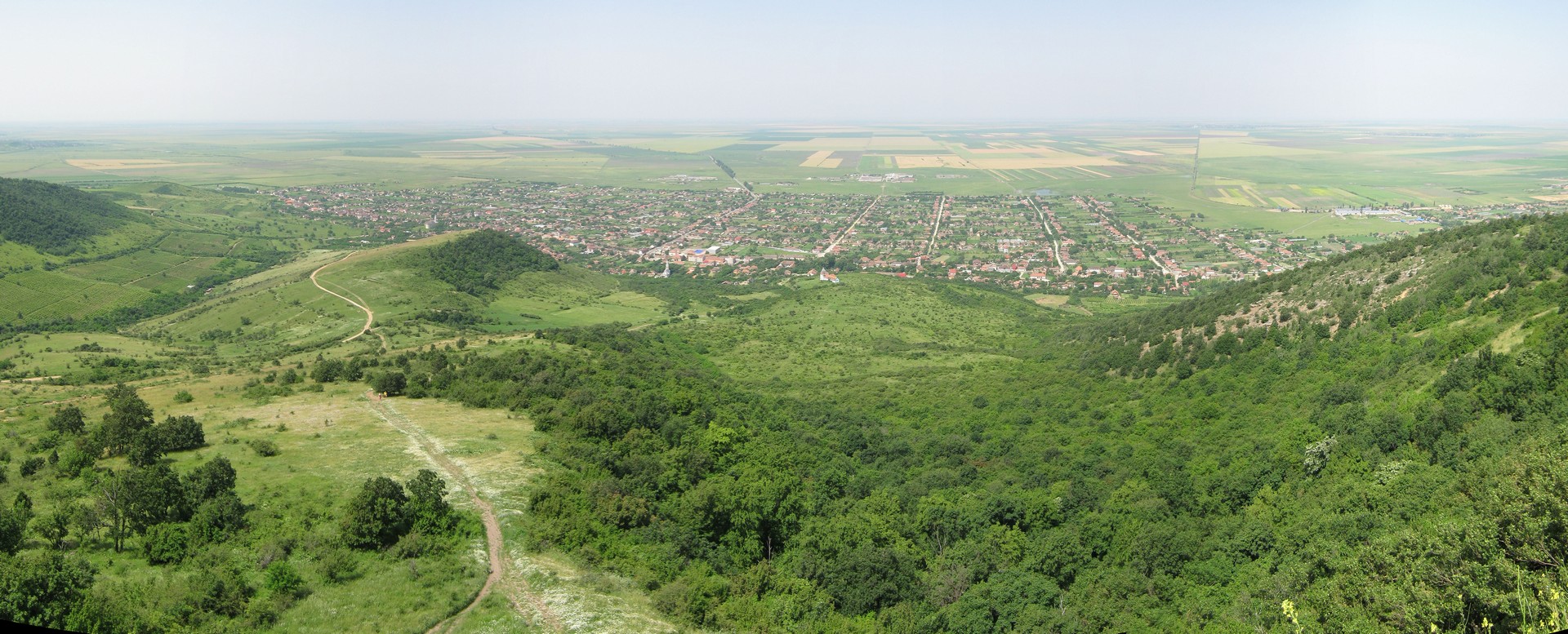 Kép