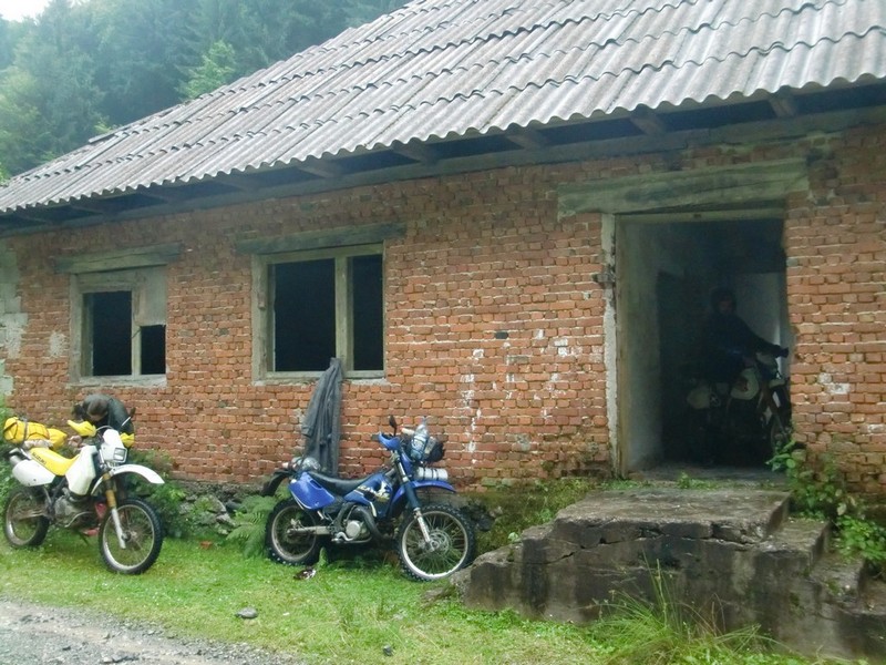 Kép