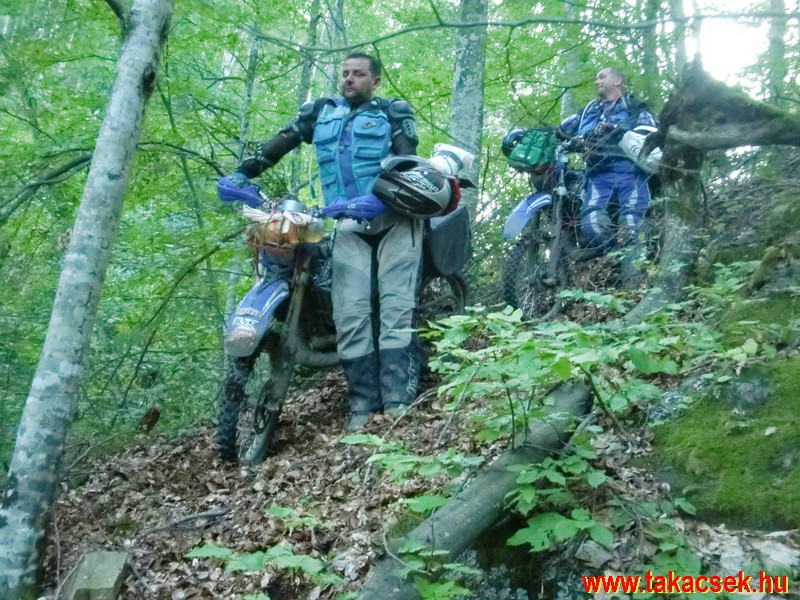 Kép