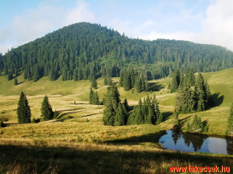 Kép