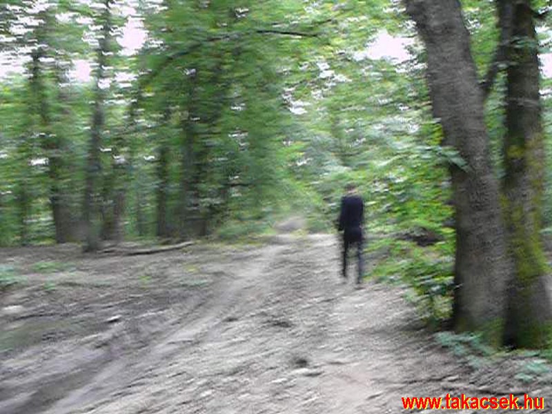 Kép