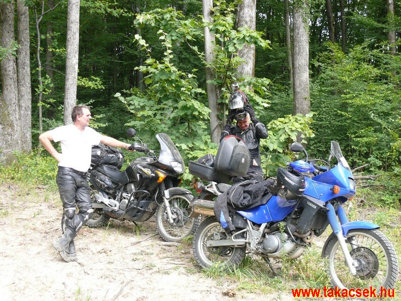 Kép