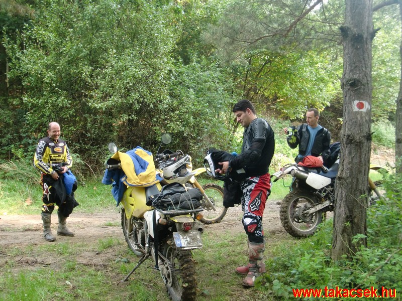 Kép