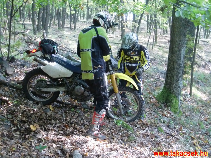 Kép