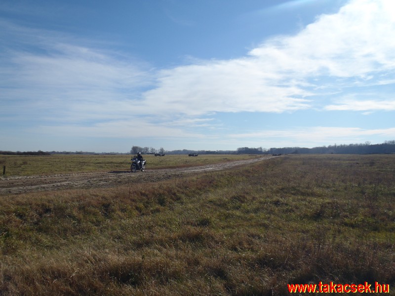 Kép