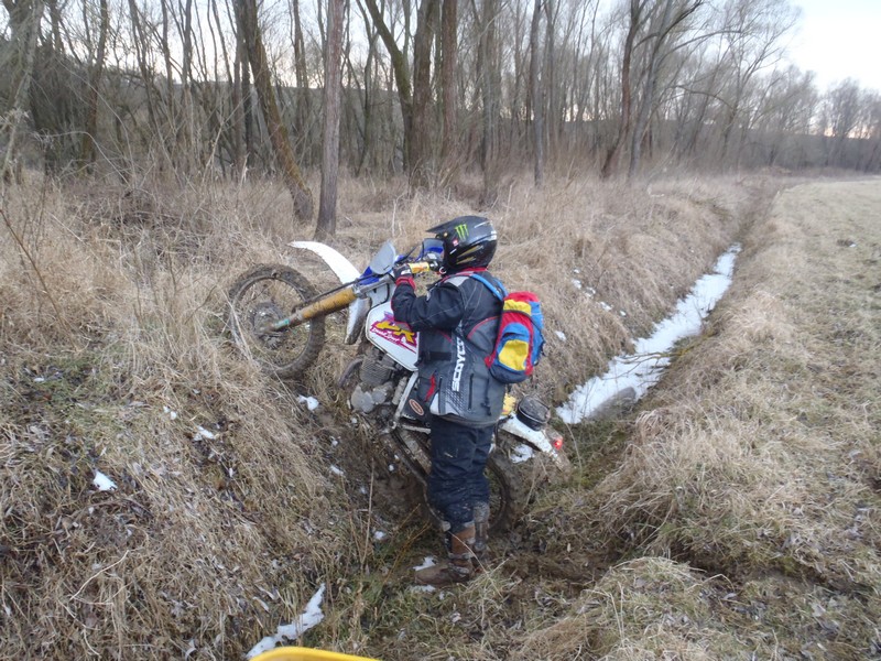 Kép