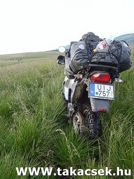 Kép