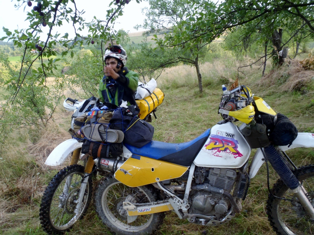 Kép
