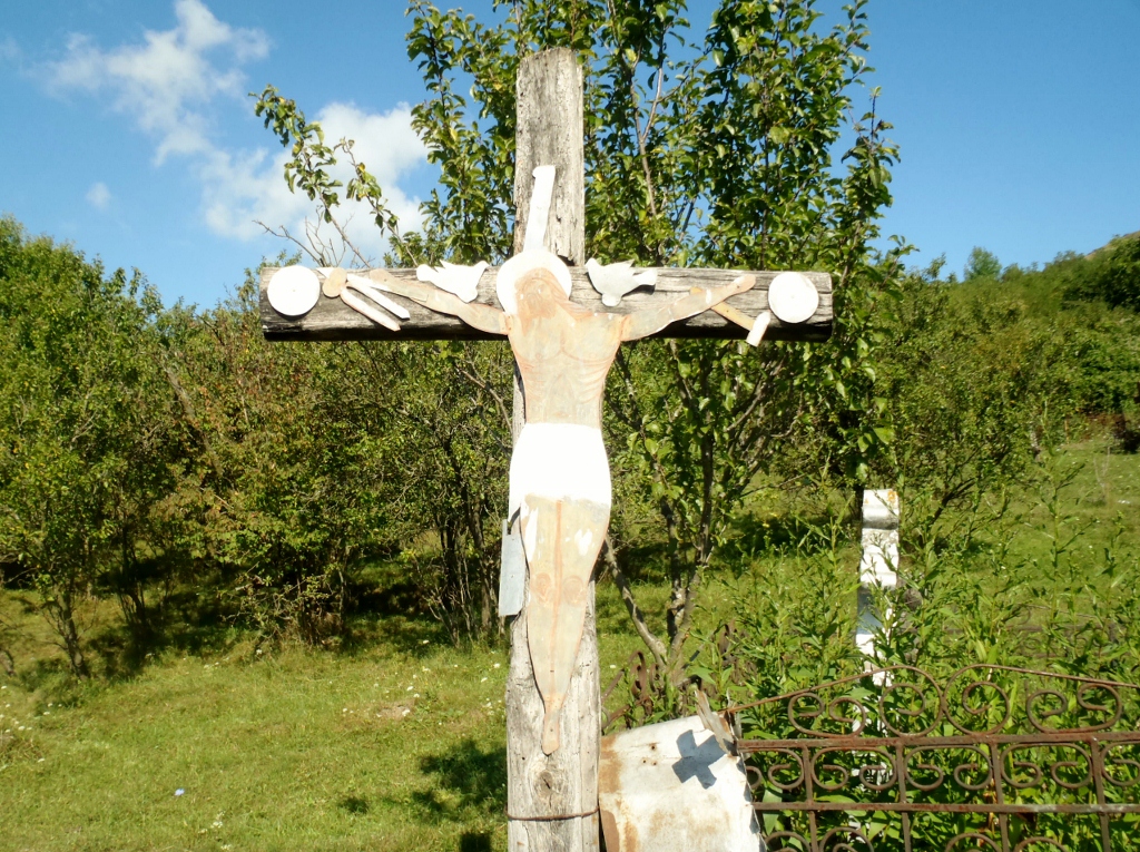 Kép