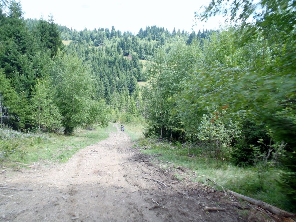 Kép