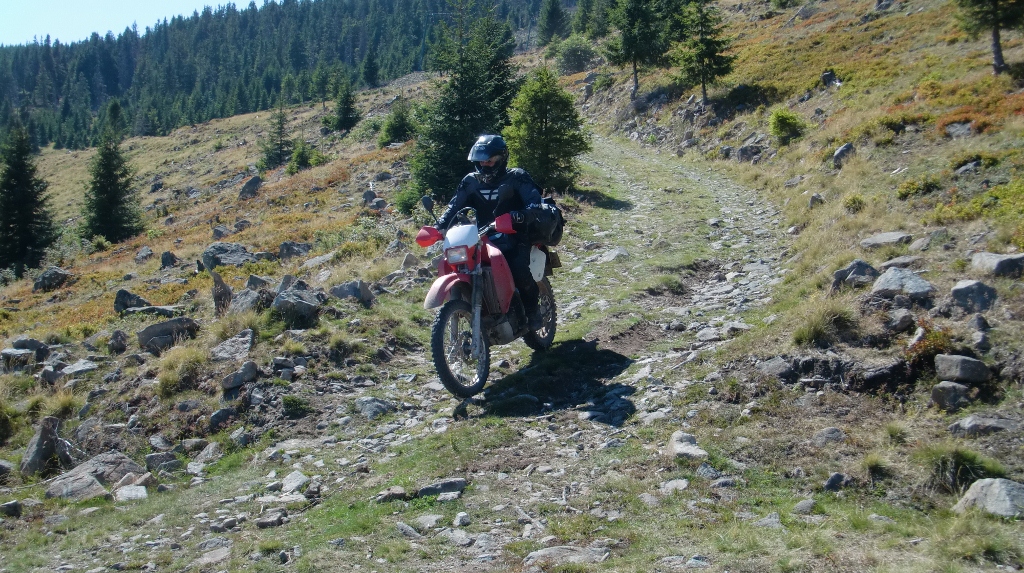 Kép
