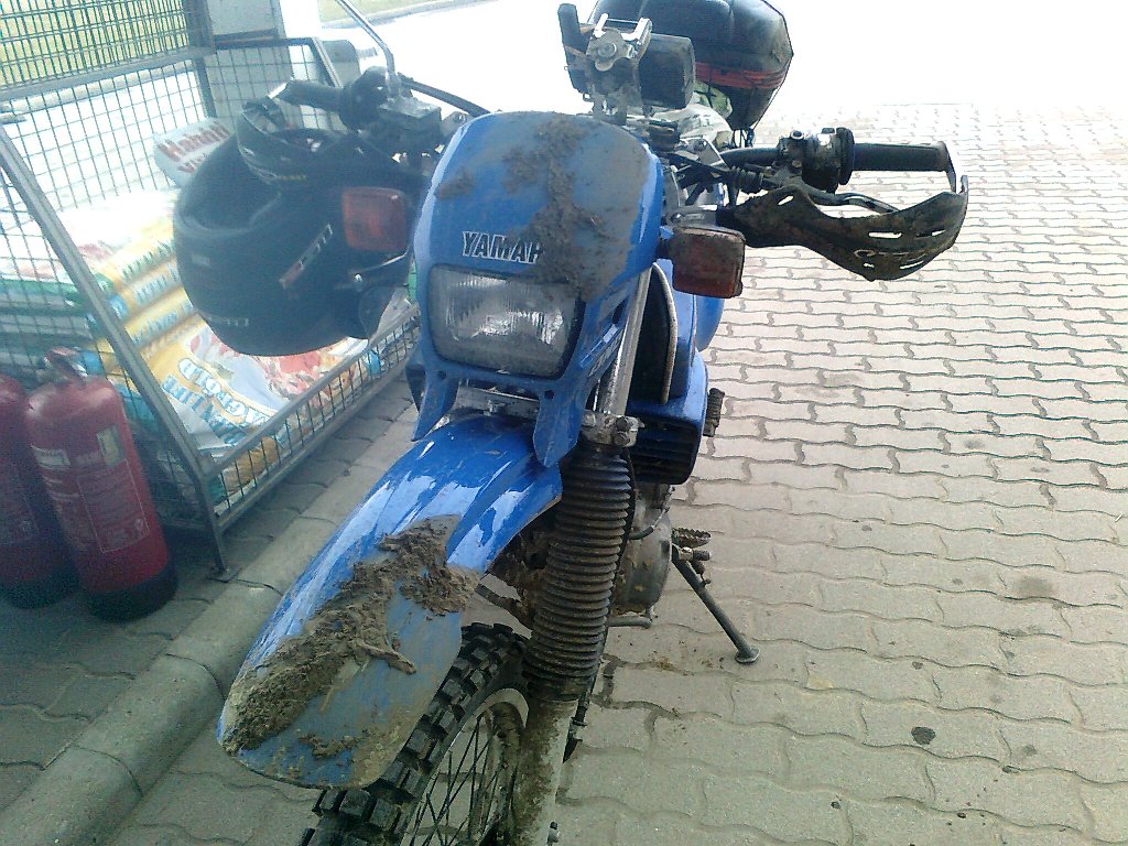 Kép