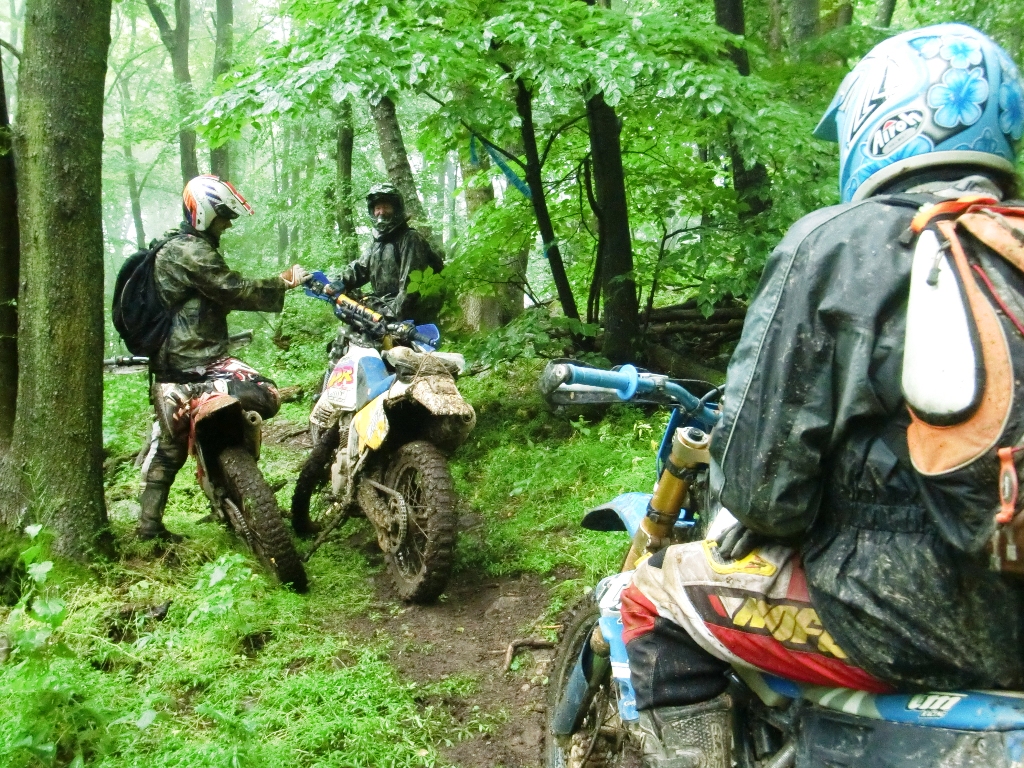 Kép