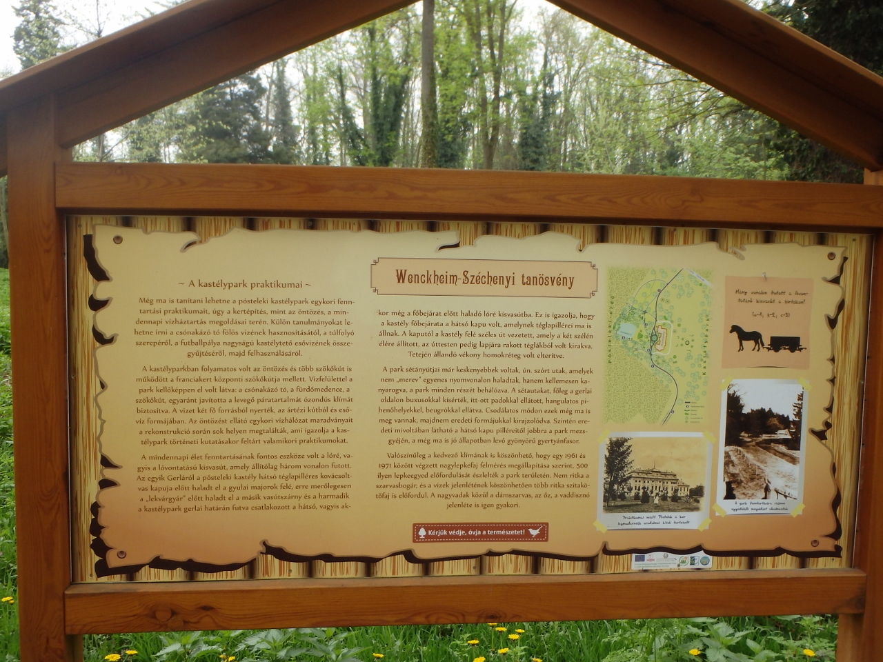 Kép