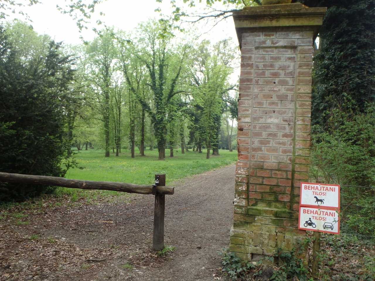 Kép