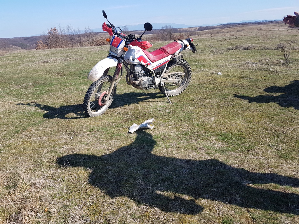 Kép