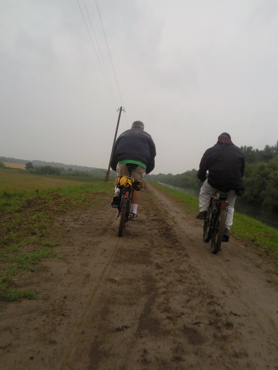 Kép