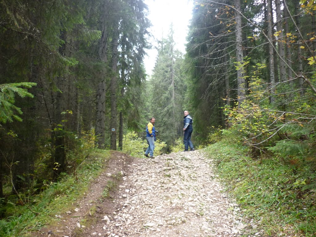 Kép