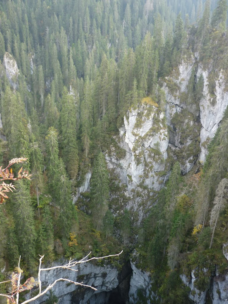 Kép