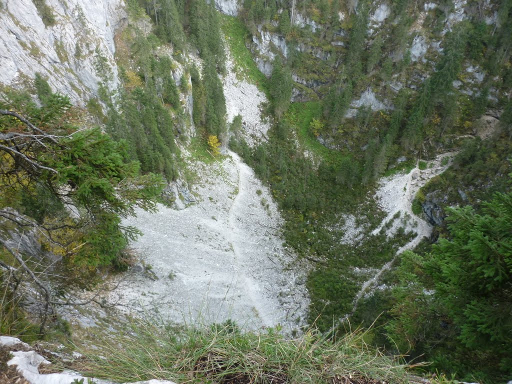 Kép