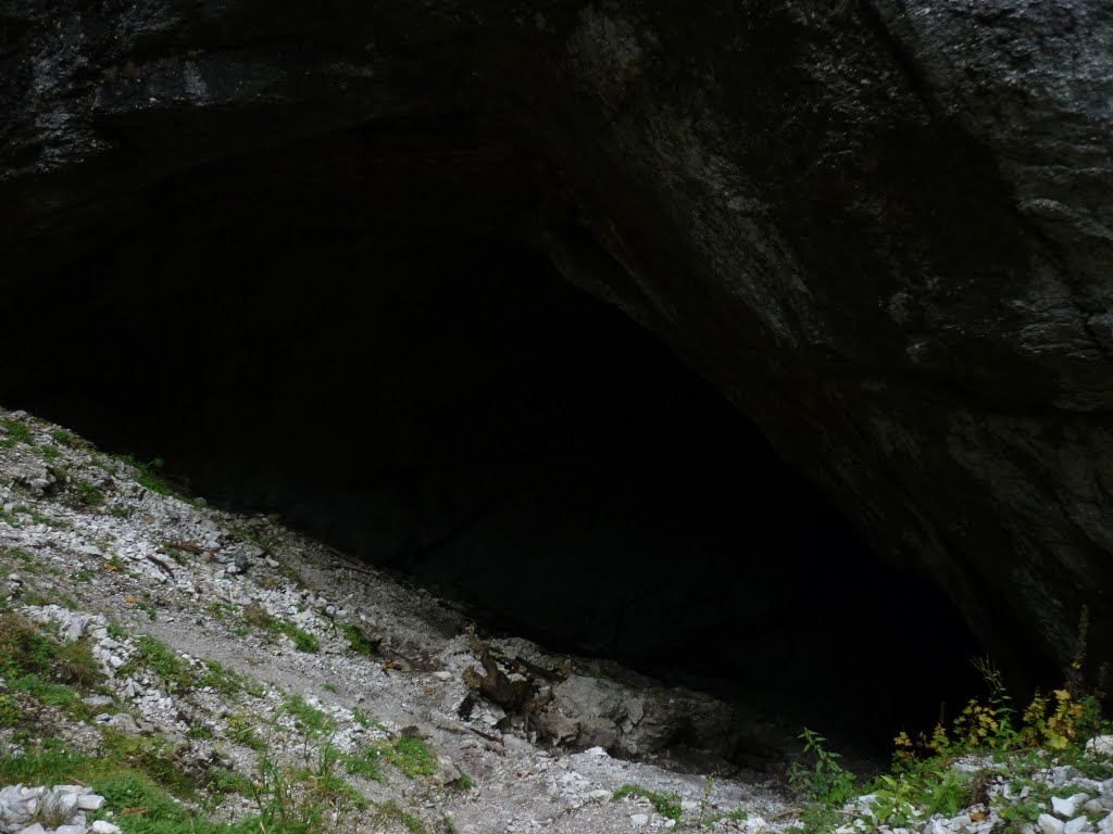 Kép