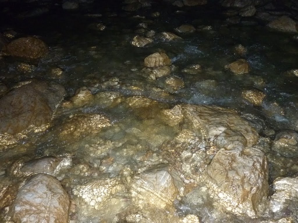 Kép