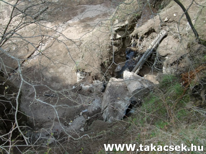 Kép