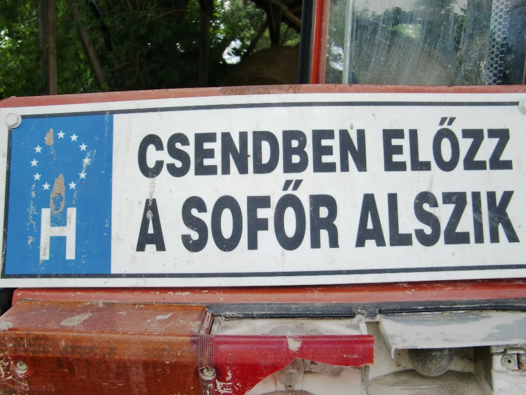 Kép