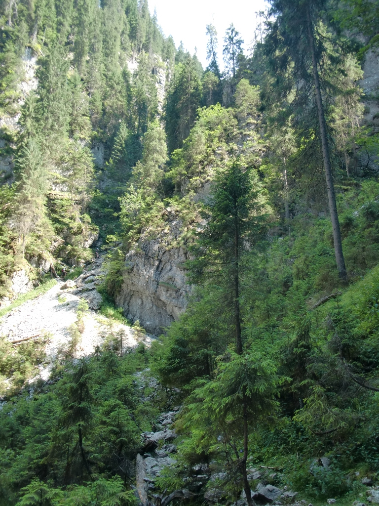 Kép
