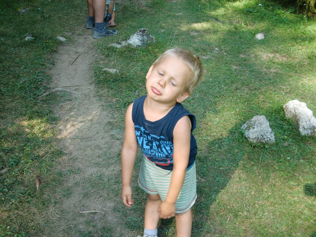 Kép