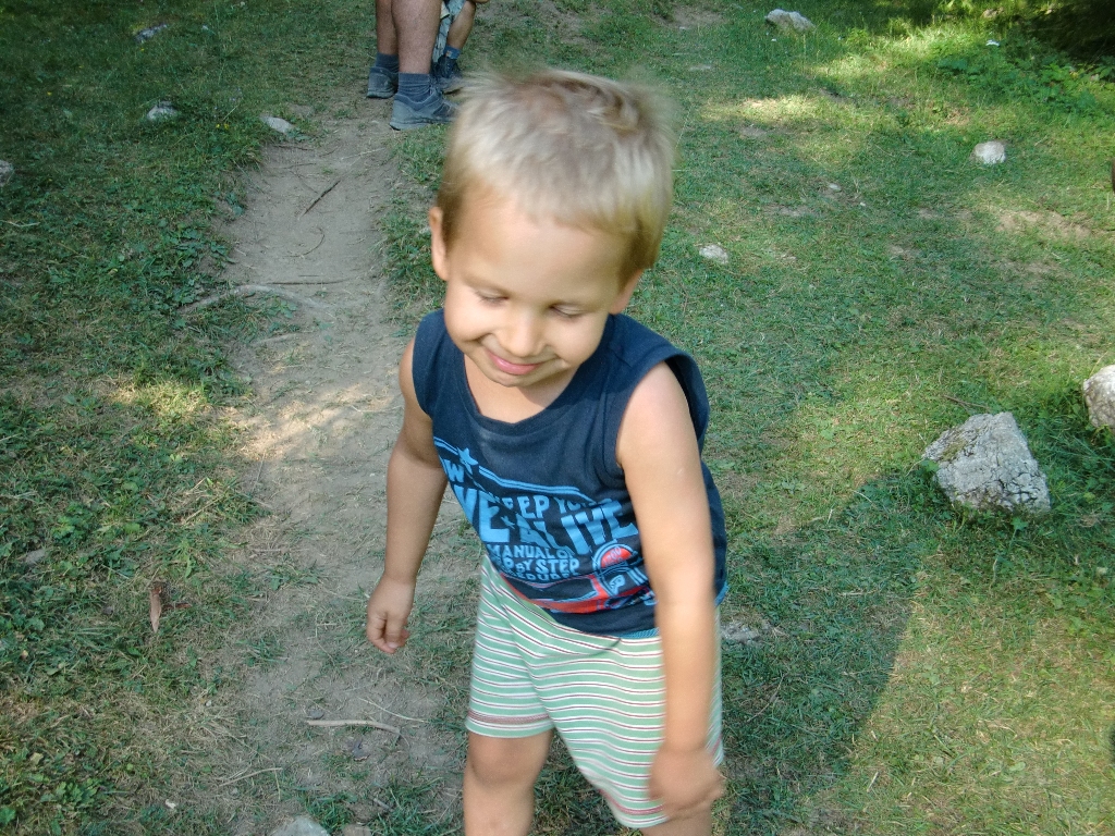 Kép